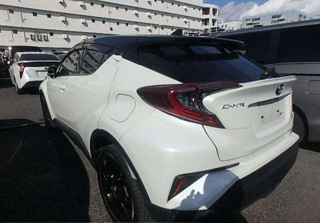 255A TOYOTA CHR 2019 Pearl 2 TONE