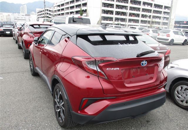 Toyota C-HR 2018 Redwine 2 Tone